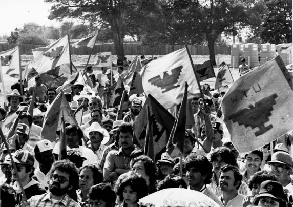 (3398) Rally, Salinas, California (3398) Rally, Salinas, California